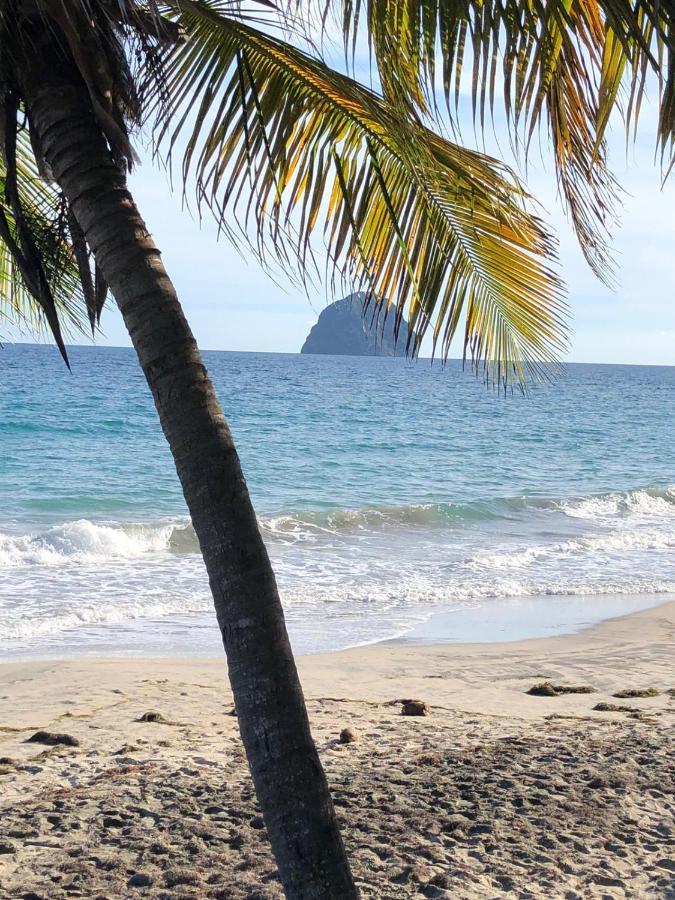 Studio Sainte Anne 2Mn A Pieds De La Plage ,Possibilite Location De Voiture 外观 照片