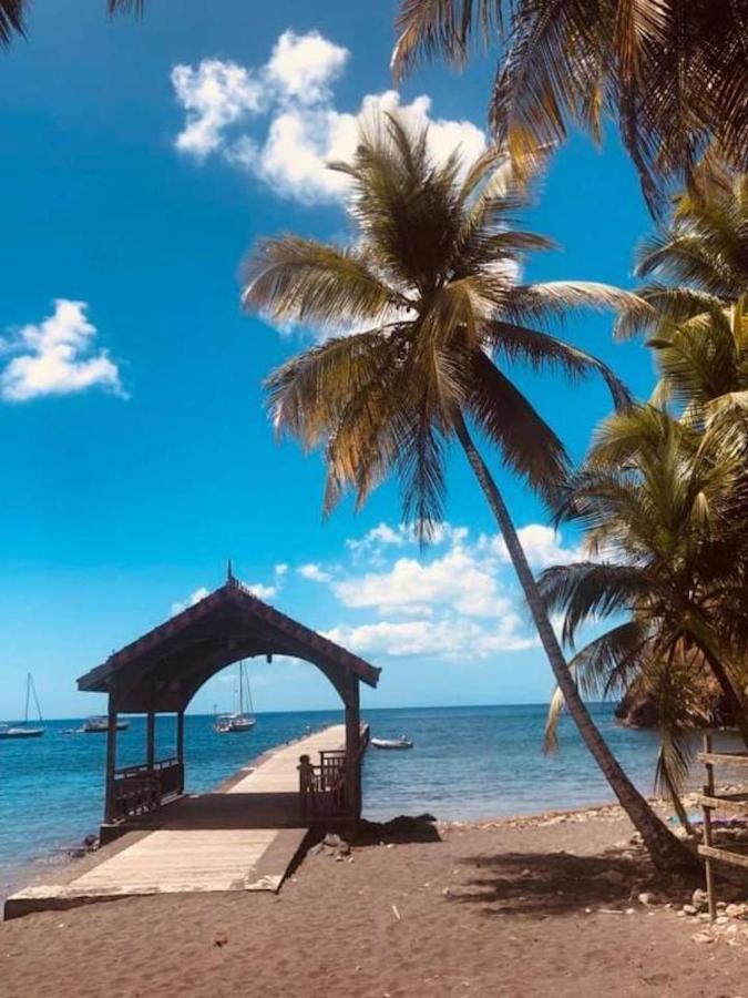 Studio Sainte Anne 2Mn A Pieds De La Plage ,Possibilite Location De Voiture 外观 照片