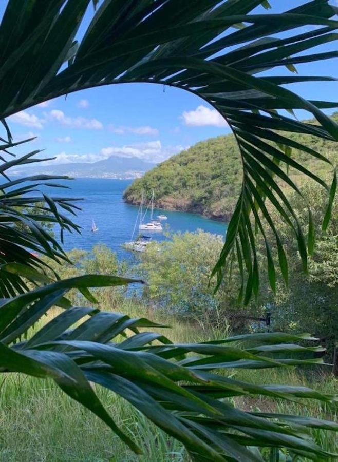 Studio Sainte Anne 2Mn A Pieds De La Plage ,Possibilite Location De Voiture 外观 照片